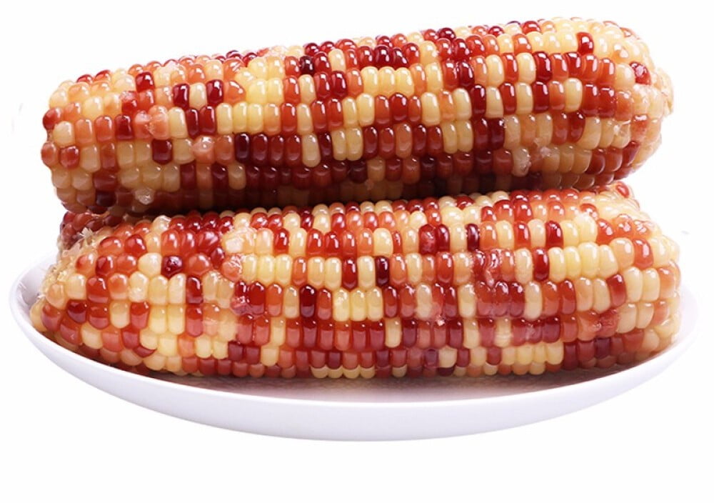 WATSON CORN - FRENCH Maïs cireux marbré biologique surgelé Watson