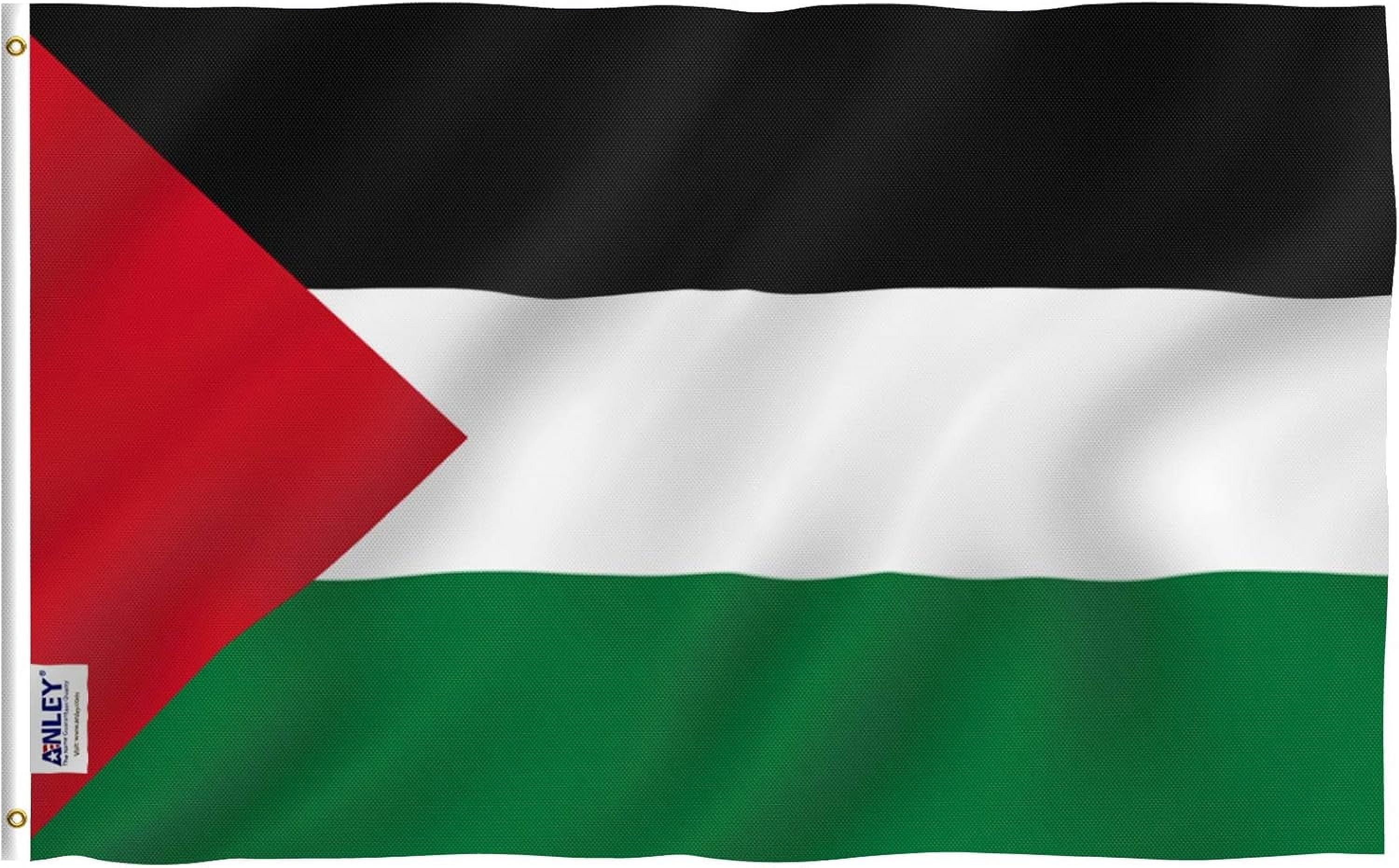 Pakistan Flagge 90x150 Cm – Reißfest, Doppelseitig, 3-lagig Mit Edelstahlösen