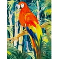 thumbnail image 2 of Slivka, Jane 25x32 White Modern Wood Framed Museum Art Print Titled - Parrots in Tropics I, 2 of 4