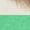 Heather Irish Green, variant on Oriental Shorthair Cat T-Shirt