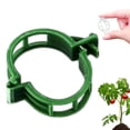 thumbnail image 1 of Plant Fixing Clip 200/300 PCS Plant Clips For Climbing Plants Clear Plant Clips Garden Clips Plant Support Clips Plant Clips Plant Support Garden Clips Vine Fixing Clip For Plants, 1 of 9