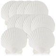 thumbnail image 1 of 15 Pcs Natural Sea Shell White, 4-4.7 Inch Scallop Shells For Diy Craft, Serving Food, Baking And M, 1 of 5