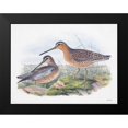 thumbnail image 2 of Stellar Designs Studio 18x15 Black Modern Framed Museum Art Print Titled - Goulds Coastal Bird VIII, 2 of 5
