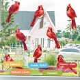 thumbnail image 2 of Bird Friendly Window Decals Static Electricity Stickers for Safety & Home Beautification Protect Bird and Beautifys, 2 of 9