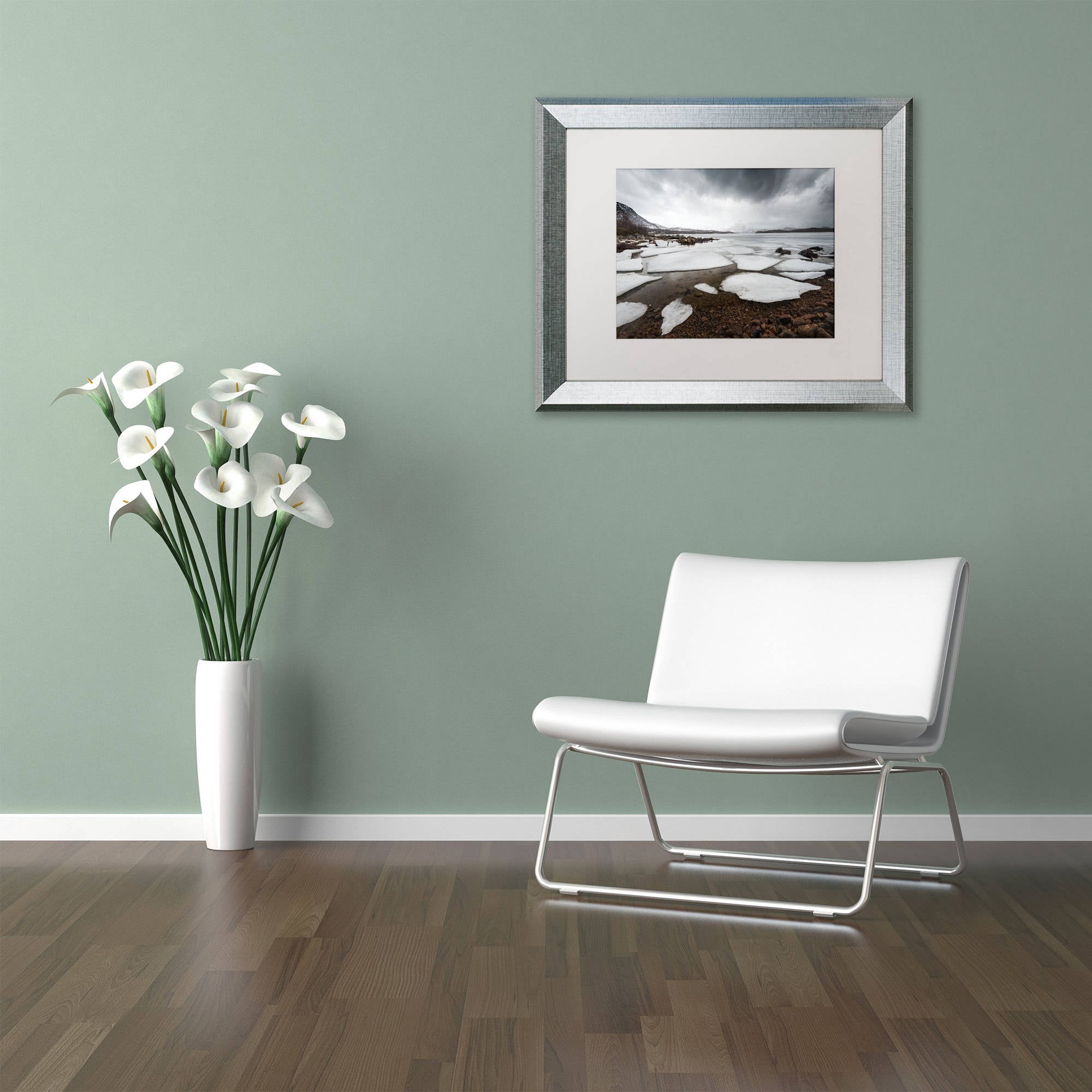 Trademark Fine Art "Wildest Dreams" Canvas Art by Philippe Sainte-Laudy, White Matte, Silver Frame