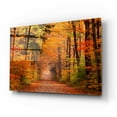 thumbnail image 2 of Epic Art 'Autumn Road' by David Hammond, Acrylic Glass Wall Art, 16"x12", 2 of 8