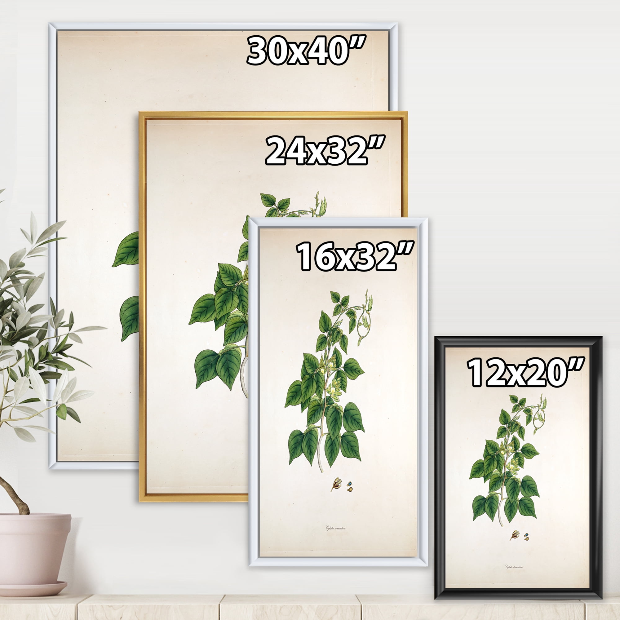 Ancient London Plants VIII 24 in x 32 in Framed Painting Canvas Art Print, by Designart