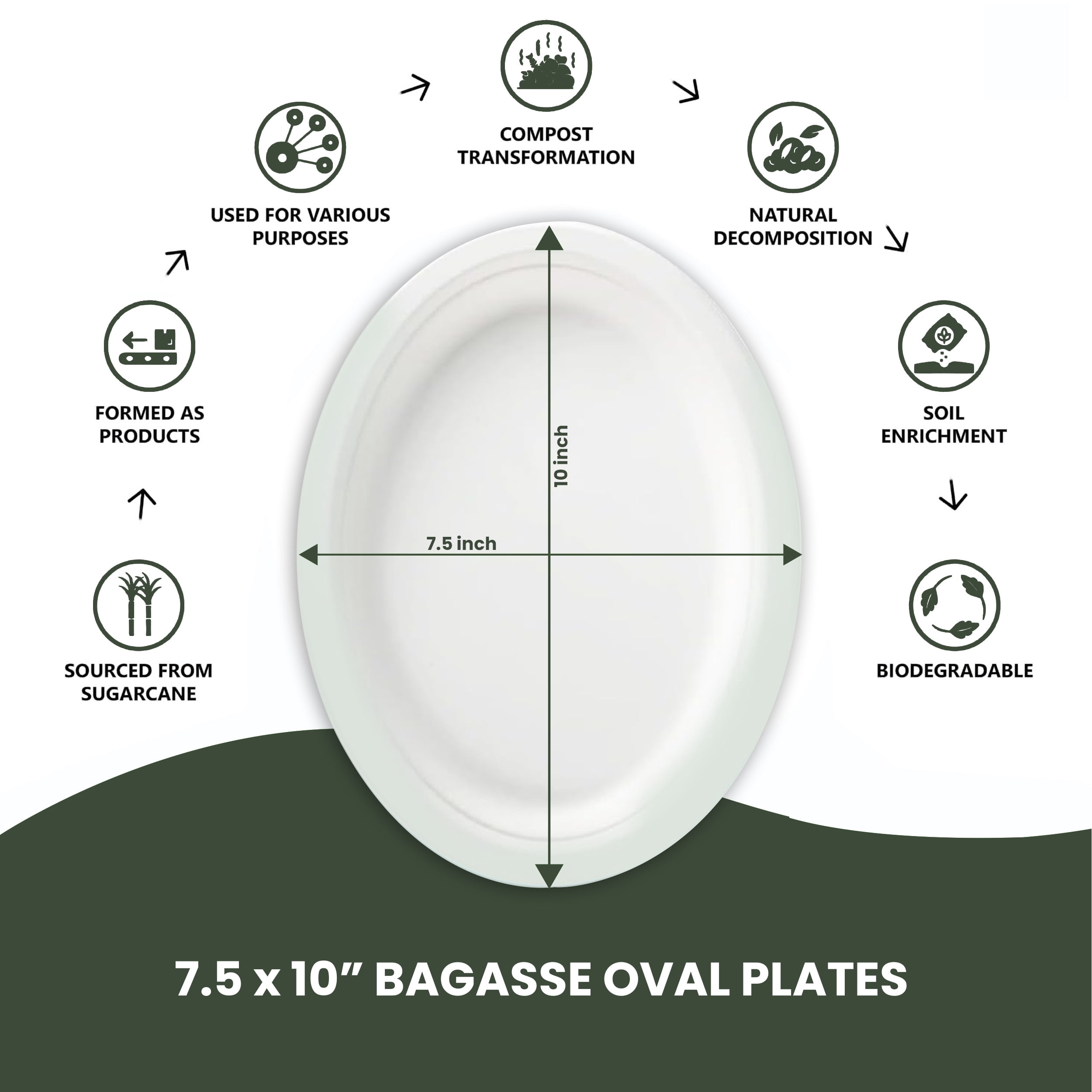 FPN Disposable Oval Plates, Small, 125-Pack, Compostable, Microwave-Freezer Safe for Parties & Events