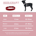 thumbnail image 3 of Collar para perros pequeños y medianos con correa clásica ajustable y cierre de metal., 3 of 5