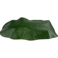 thumbnail image 6 of Single Stalk Banana 6' Artificial Plant, 6 of 7