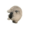 thumbnail image 4 of 8" Sleeping Pug Garden Statue, 4 of 4