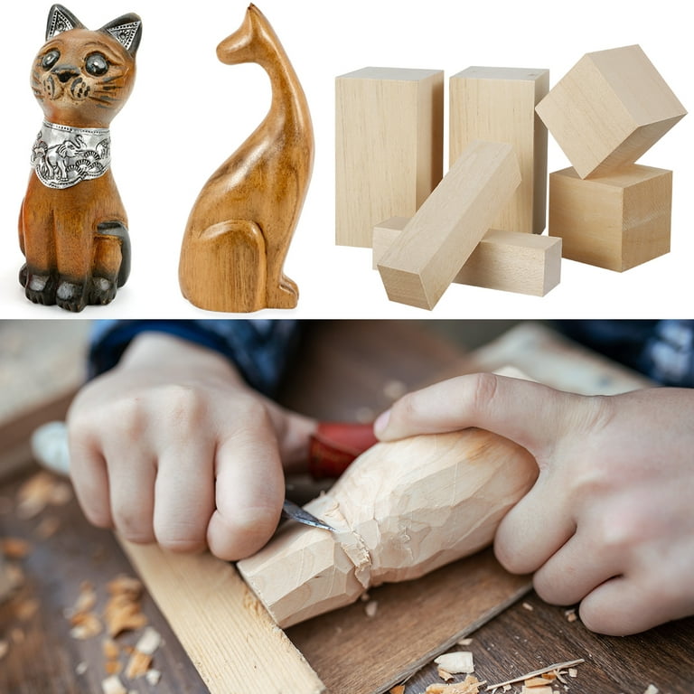 10x Premium Basswood Wood Carving Blocks Kit - Whittling Blanks Beginners  Soft Wood Carving Block Set, Hobby
