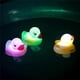 thumbnail image 3 of 6 Pcs LED Flashing Light Floating Duck Bathtub Rubber Toy, 3 of 4