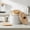 White, variant on Atopoler Coffee Filter Holder with Lid,Wood Filter Storage Container,Multipurpose Storage Container for Counter Coffee Bar Accessories,White Color