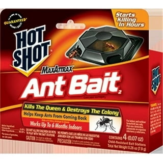 Hot Shot 2040W MaxAttrax Ant Bait, 4 Count, Case Pack of 12 