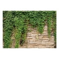 thumbnail image 3 of Surface Texture Wallpaper Wall Mural - Stacked Stone Ivy Wall, 3 of 8