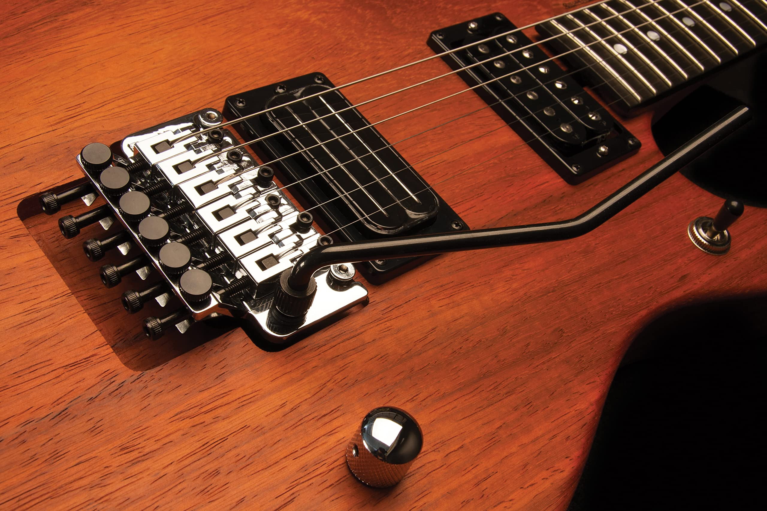 Washburn Nuno Bettencourt N4-Nuno Padauk USA Zimbabwe | Ubuy