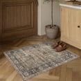 thumbnail image 3 of BERTHMEER 2'x3' Brown Small Area Rugs for Bathroom Bedroom Entryway Kitchen Dorm Entrance Vintage Non Slip Washable Oriental Traditional Distressed Rugs, 3 of 6