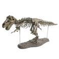 thumbnail image 2 of Dinosaur Skeleton Assembly Office Decor Skeleton Figurine, 2 of 5