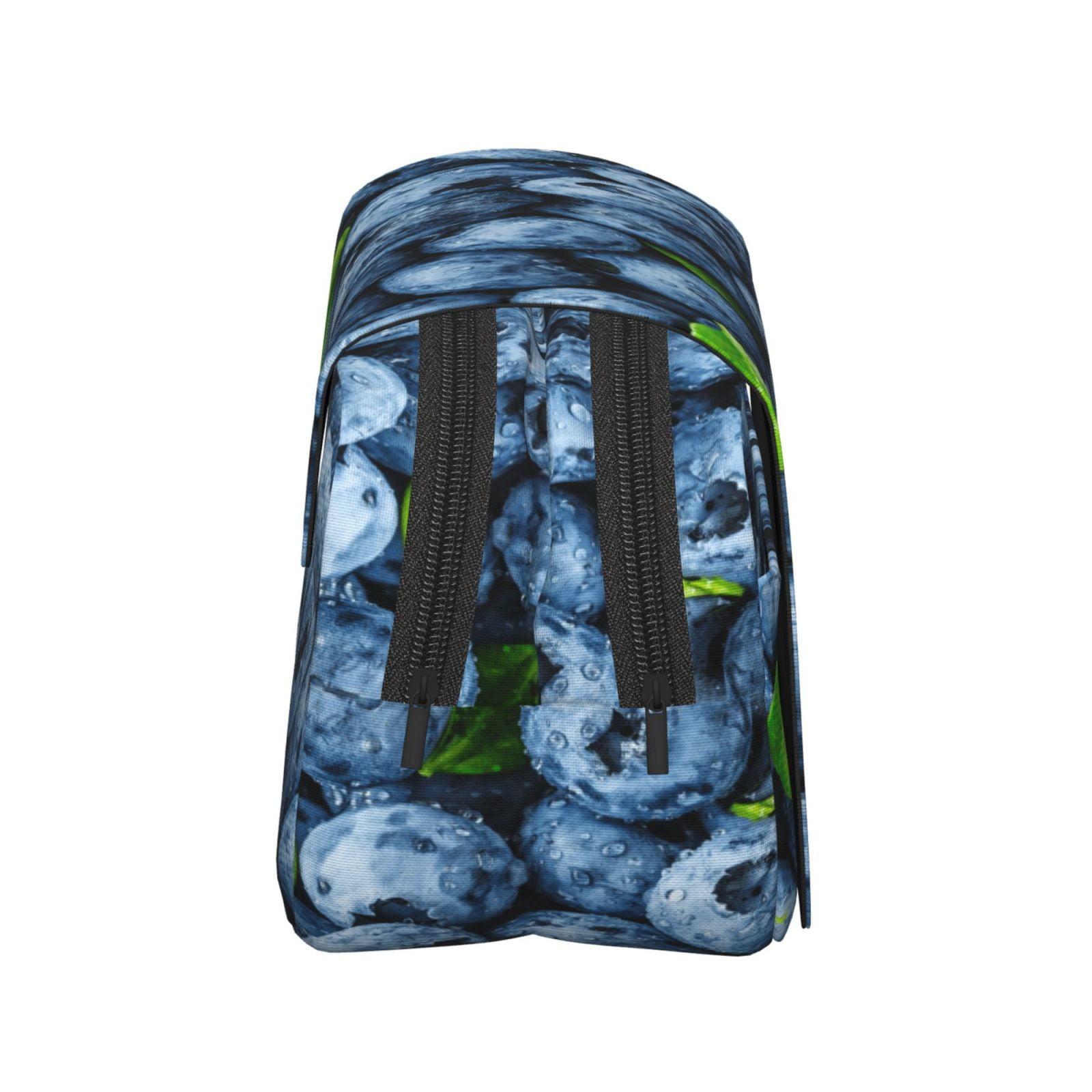 Rateoe Fresh Blueberries Pattern Double Clamshell Pen Case, Storage Organizer with Two Zipper Compartments– Holds Up to 50 Pencils & Pens