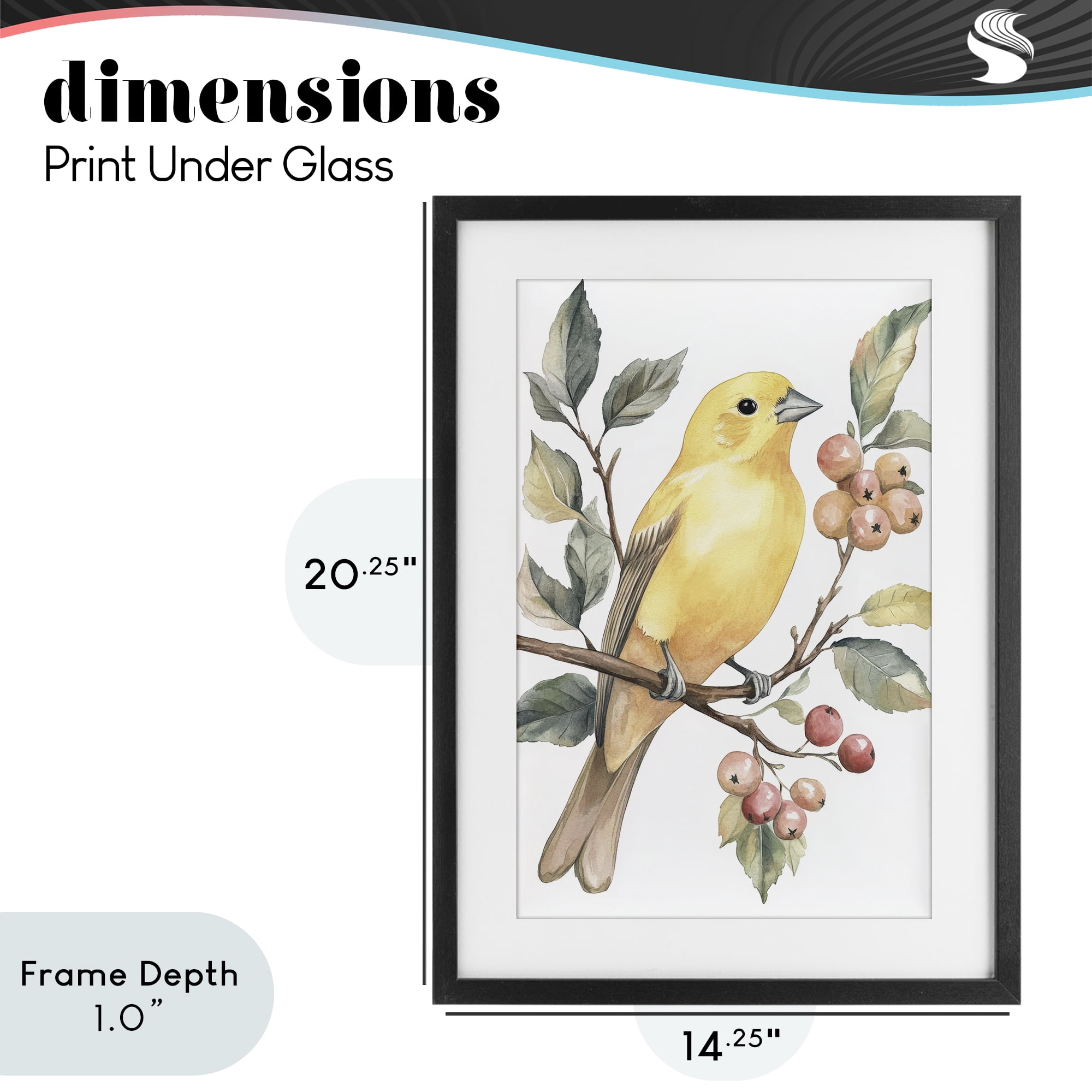 Stupell Industries Sun Lit Bird on Branch Black Framed Print Under Glass, design by Petal Prints Design