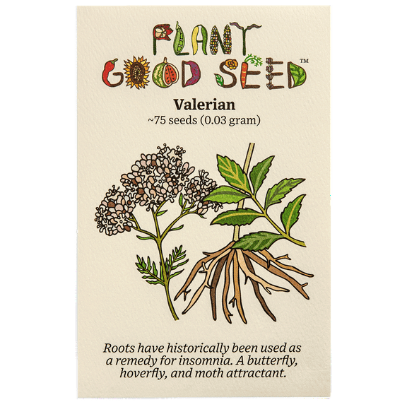 Plant Good Seed Valeriana Officinalis Seeds, Garden Heliotrope Valerian Seeds, 75 Seeds Per Packet