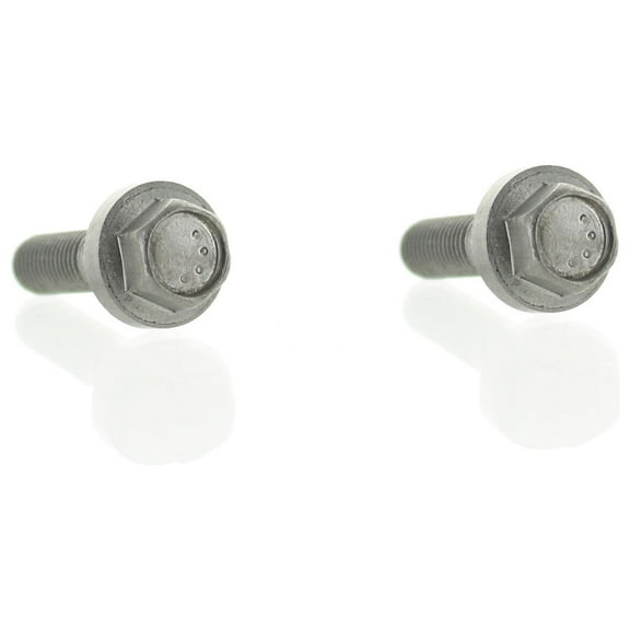 Johnson Evinrude OMC New OEM Otbd/Stndr Two Bearing Housing Screws/Seals 0316563