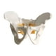 thumbnail image 3 of Modelo de pelvis femenina, herramienta de demostración de aula de educación de aprendizaje para niños extraíble, ayuda didáctica para estudio de, 3 of 8