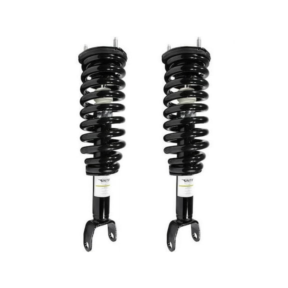 Front Strut Assembly Kit - Compatible with 2005 - 2009 Dodge Dakota 4WD 2006 2007 2008