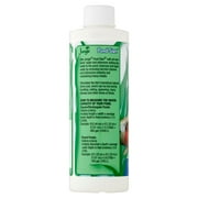 Jungle Pond Start, Pond Water Treatment Solution for Outdoor Ponds, 8 oz.
