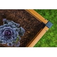 thumbnail image 6 of Vita Mezza 48 in L x 48 in W x 11 in H Cedar Raised Garden Bed, Golden Brown, VT17703, 6 of 11