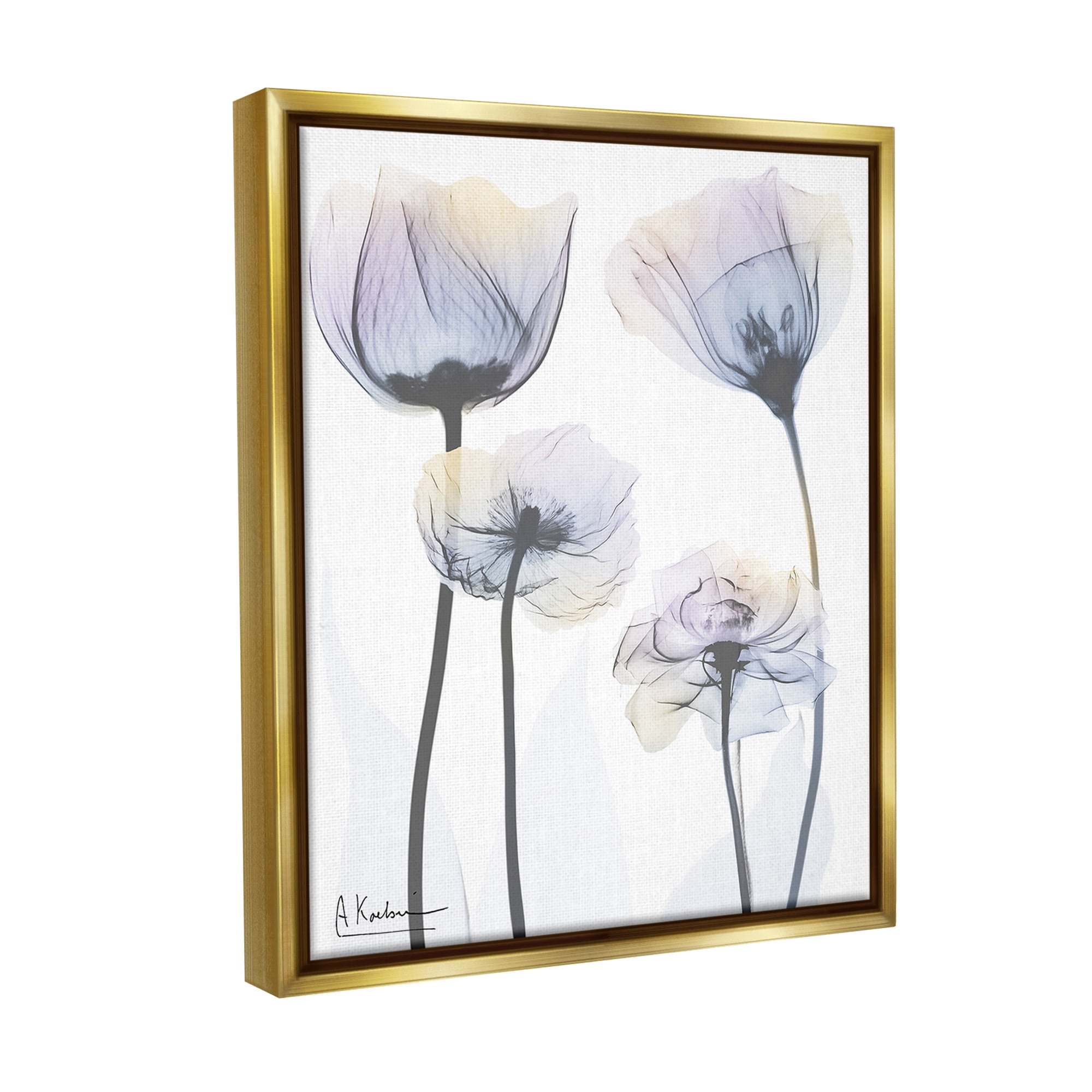 Stupell Industries Subtle Flower Shapes Botanical & Floral Photography Gold Floater Framed Canvas Art Print Wall Art, 17 x 21