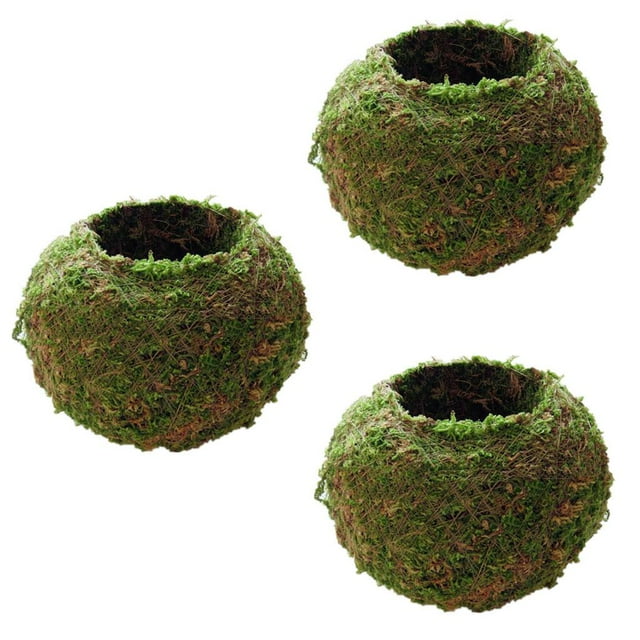 3x Bonsái de , de Bo de de Esfagno Verde, Nido de , Accesorios de Bricoje de Pájaros Zulema Moss Ball Maceta