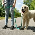thumbnail image 2 of zalens Dog Leash Double Handle 6ft Long, Padded Traffic Handle and Reflective, Teal, 2 of 6