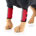 thumbnail image 2 of Soporte para patas de perro, con tiras reflectantes y rodilleras para perros (S) brillar Electrónica, 2 of 5