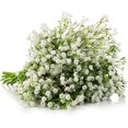 thumbnail image 5 of 5 flores artificiales blancas – flores artificiales de plástico para decoración de boda, ramo de novia, arreglo floral, 5 of 5
