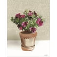 thumbnail image 2 of Great Art Now House Begonia Plant by House Fenway, Framed Wall Art, 18W x 23H, 2 of 2