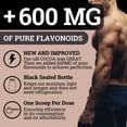 thumbnail image 5 of Supercharged Cocoa Flavanols 1950MG | 12X Potency, 5 of 7