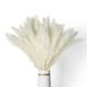 thumbnail image 1 of 40 Piezas de Hierba de Pampa Blanca Seca Natural de 45CM Esponjosa y Oscilante, Planta Bohemia DIY para DecoracióN de Arreglos Florales de Boda, 1 of 5
