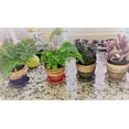 thumbnail image 3 of Harbor Gardens Madison Collection 3" Ceramic Planter Set of 4, 3 of 3