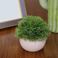 thumbnail image 4 of Bola de césped artificial en maceta, simulación de hierba, decoración de plantas, decoración de la mesa de la oficina en casa, hierba tipo 4, verde tholdsy HA7593-12B, 4 of 6