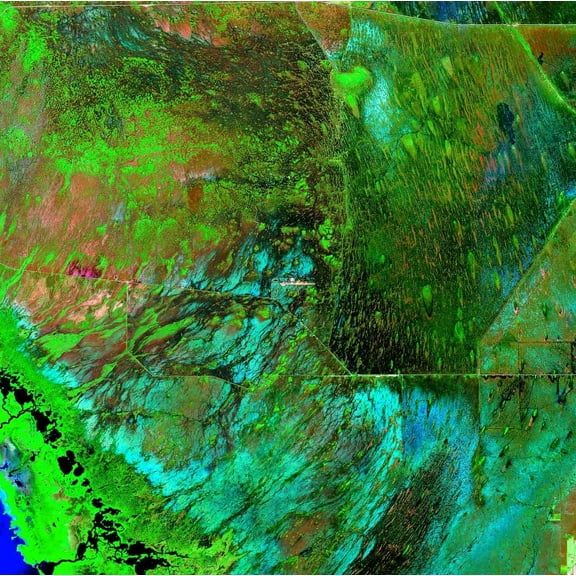 Buell Everglades Wall Decal