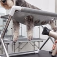 thumbnail image 5 of Foldable Pet Bathing Stand Hammock, 2027 New 2-in-1 Grooming Bed Support, Washing Sling Holder for Small & Medium Dogs, Home Salon Grooming, Washable Mesh, Joint Support & Restraint, 5 of 6