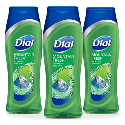 Dial Body Wash Mountain Fresh with All Day Freshness 16 Fluid Ounces (Pack of 3) Walmart Canada