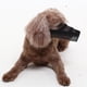 thumbnail image 3 of para perro para perro suave y transpirable Malla potable para mascotas antiladridos Lick Beige Colco Hocico duradero, 3 of 8