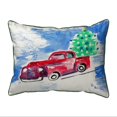 thumbnail image 1 of Betsy Drake HJ206 16 x 20 in. Truck & Tree Large Pillow, 1 of 1