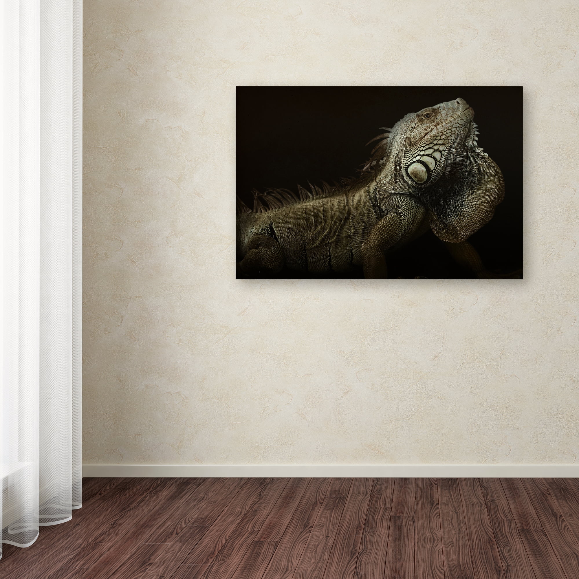 Trademark Fine Art 'Iguana Profile' Canvas Art by Aleksandar Milosavljevic