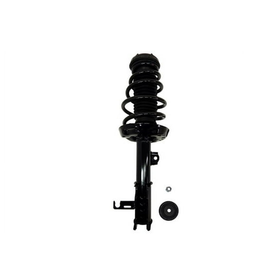 Suspension Strut and Coil Spring Assembly