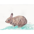 thumbnail image 2 of Dyer, Beverly 14x12 Gold Ornate Wood Framed with Double Matting Museum Art Print Titled - Bunny, 2 of 4