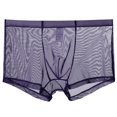 thumbnail image 1 of Men's Mesh Comfortable Sweat-absorbing Ultra-thin Underwear With Flat Angle Pants Clearance, 1 of 2